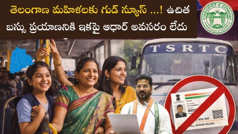 Free Bus Travel Scheme