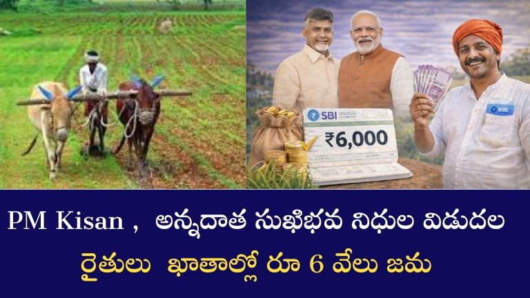 PM kisan