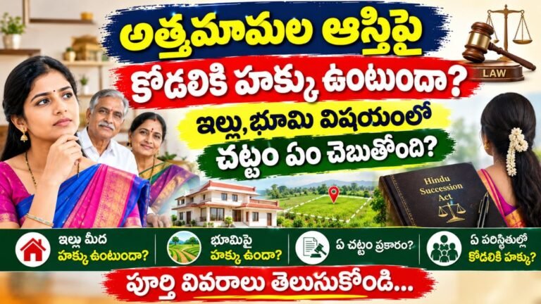 Property Rights